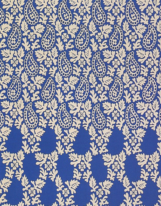 printed silk fabric Paisley theme